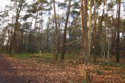 Bosgrond Kerkstraatje  Verkocht Putte