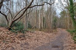 Koperstraatje Huijbergen Perceel B793- B792