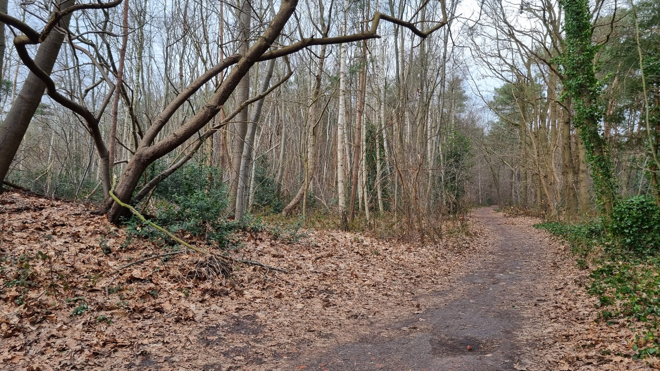 Koperstraatje Huijbergen Perceel B793- B792